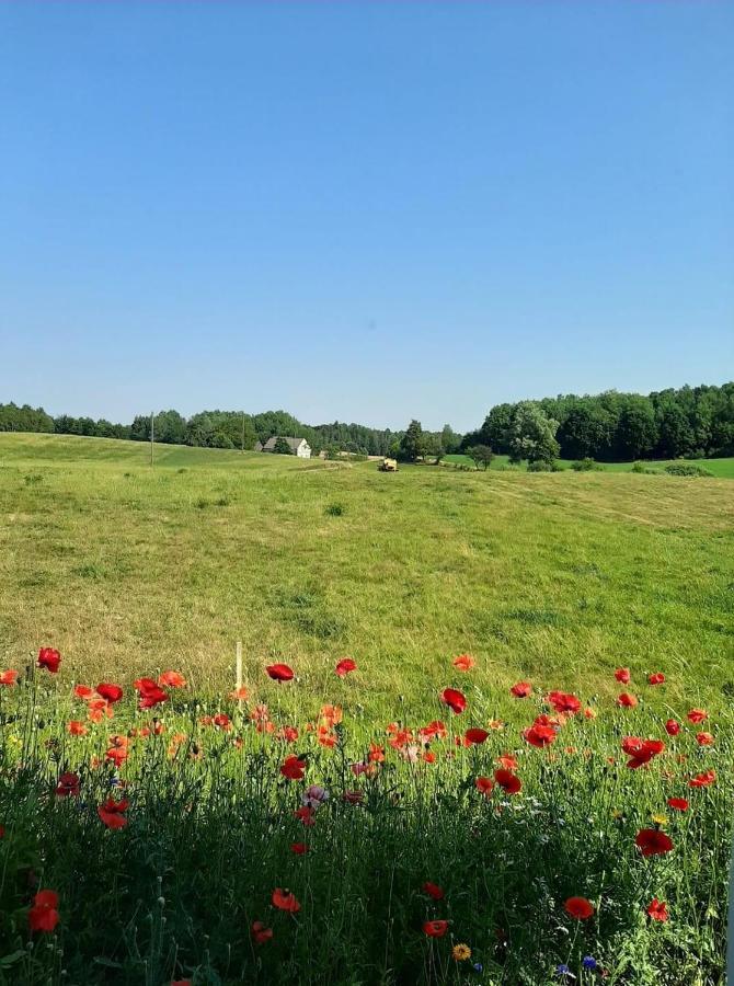 Damhills Apartments Bronowko Εξωτερικό φωτογραφία
